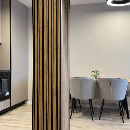 Modern & Spacious Two-bedroom Apartment