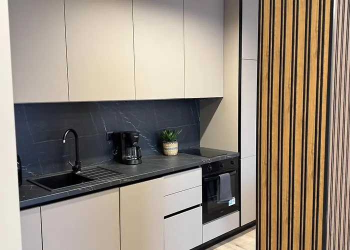 Apartment Modern & Spacious Two-bedroom