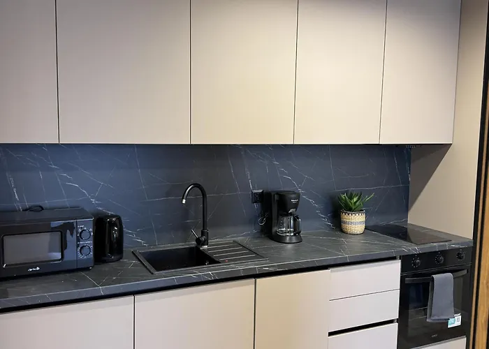 Apartment Modern & Spacious Two-bedroom *