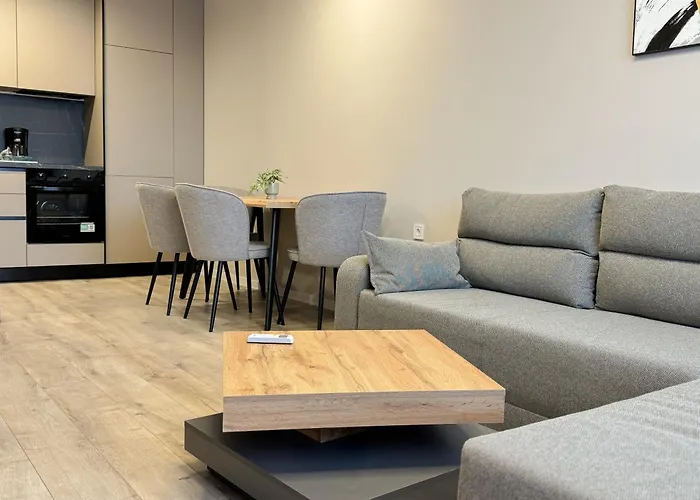 Apartment Modern & Spacious Two-bedroom *